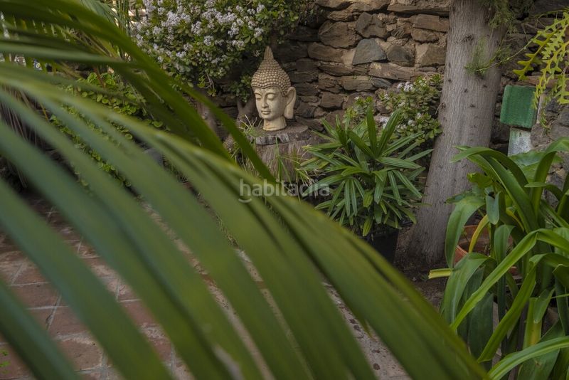 Foto 587ef7c9-8839-4725-83ea-244aa686d9a6. Masía auténtica casa de campo andaluza con encanto cerca en Sayalonga