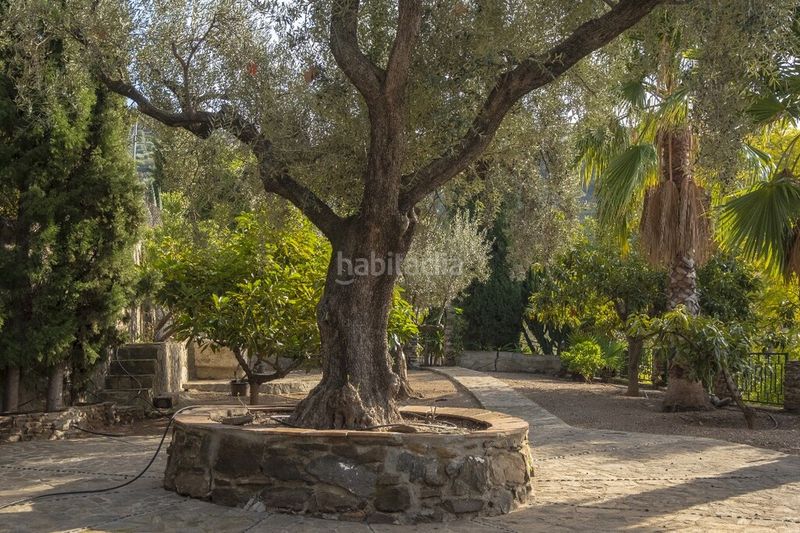 Foto a92efc44-c9df-4719-baf2-02678f3dd634. Masía auténtica casa de campo andaluza con encanto cerca en Sayalonga