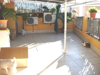 Masia a Capuchinos - Los Olivos