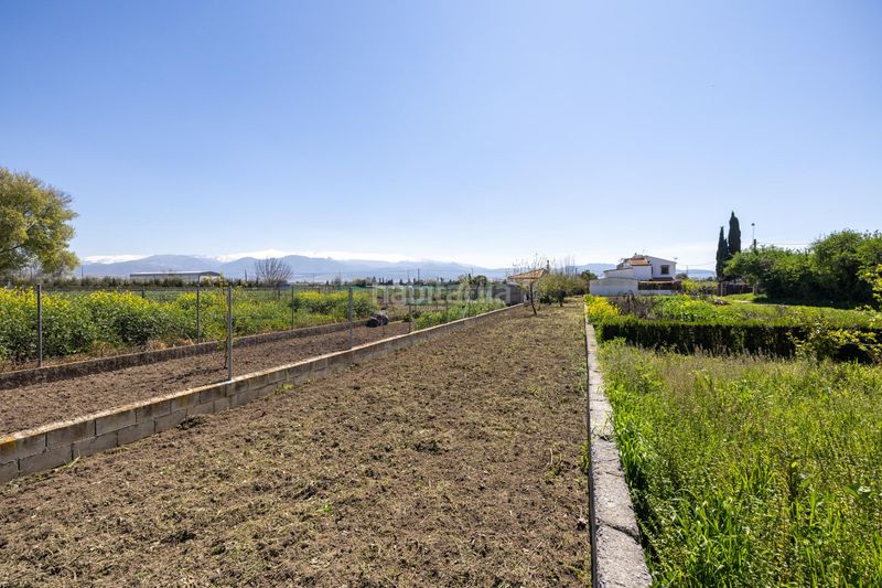 Foto d10625c0-c15d-4284-bb69-d045569b46c4. Masia amb aparcament a Poniente Armilla