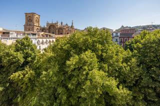 Edificio  Plaza de bib-rambla. A la venta edificio en plaza bibrambla