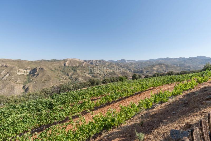 Foto 5e9cf0c1-44ab-4a88-9e04-e085ae4409e8. Finca rústica a Dúdar