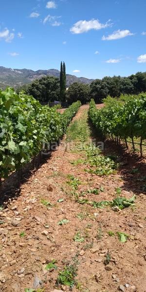 Foto a53f0df2-93b4-4bfa-88e4-142a2ba15155. Finca rústica a Dúdar