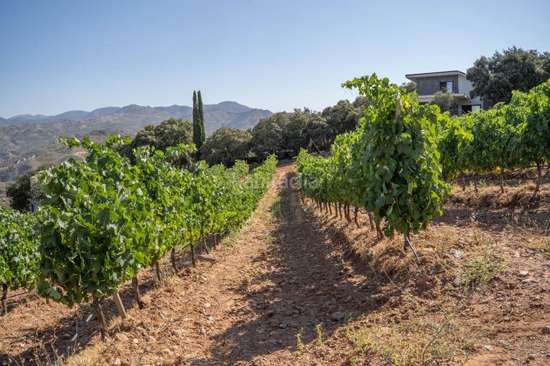Foto c676a89c-9882-4ab0-93fa-f3b95ae7b309. Finca rústica a Dúdar