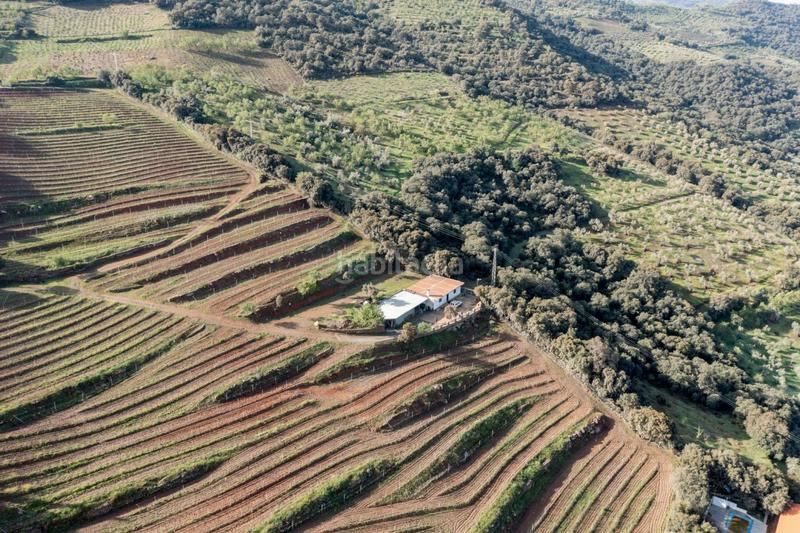 Foto fde965a5-935b-4e47-a3e2-09e78ace3f0f. Finca rústica a Dúdar