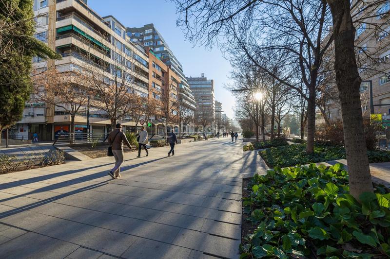 Foto ce2de8a6-8ef1-44ad-a1f0-b3a86f622742. Piso preciosa vivienda con terraza en constitución en Granada