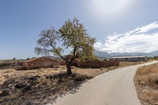 Casale in Calle baúl. Finca rústica en gor