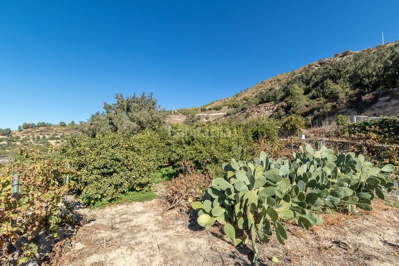 Foto e46beea7-7d81-46e5-8d39-fa2397a82a41. Finca rústica a polígono 3 parcela 273 a Lecrín