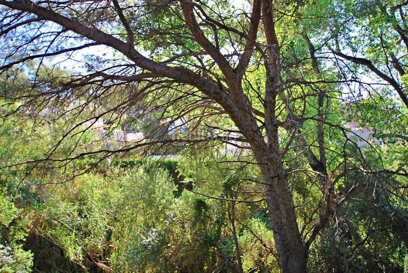 Foto 351d7c29-38fb-4f87-bfc7-a353ba7fb9d6. Terreno residencial costa la perla parcela con licencia y proyecto en Benalmádena