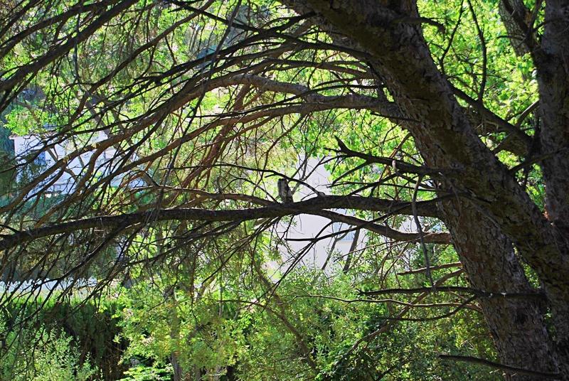 Foto 61f33229-1735-454a-bbc0-c8bcb64c14d4. Terreno residencial costa la perla parcela con licencia y proyecto en Benalmádena