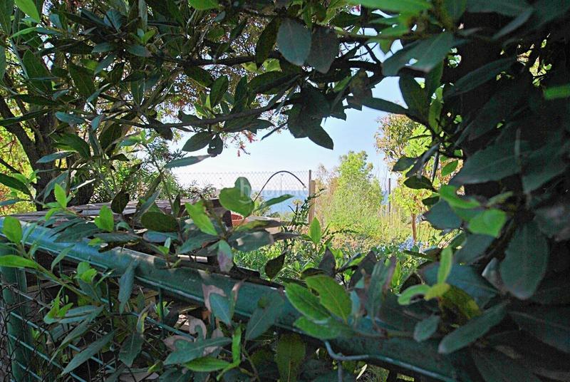 Foto 8de17070-71da-40c1-ac97-9506bb554bf4. Terreno residencial costa la perla parcela con licencia y proyecto en Benalmádena