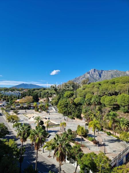 Foto acda46f0-68ef-461c-9218-45910e8eb1ef. Apartament amb aparcament piscina a Divina Pastora Marbella