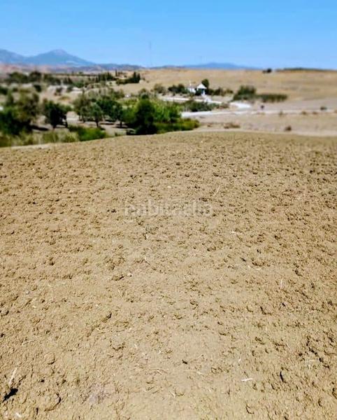 Foto 07204d3b-e469-4b62-b1c1-1ea5d4cdf247. Terreny residencial a Coín