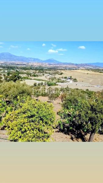 Foto 10e58a37-f63e-4fff-b166-bf8e71959662. Terreny residencial a Coín