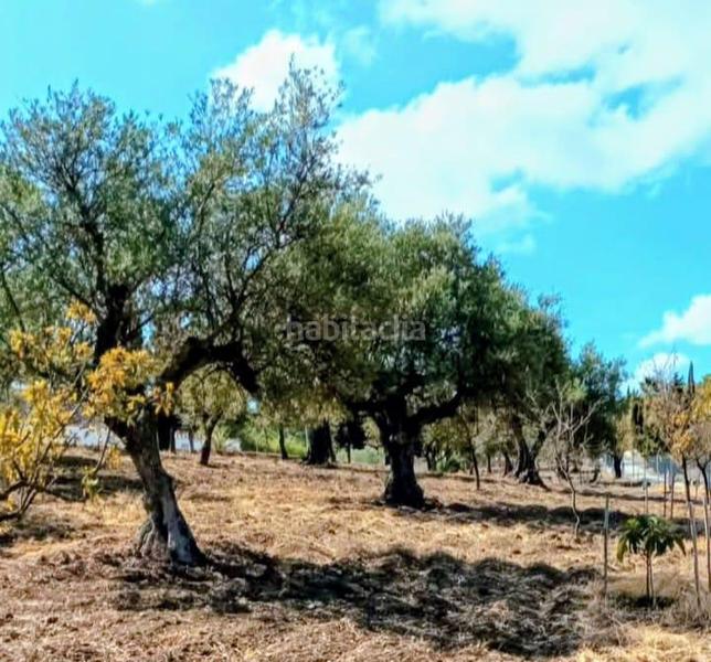 Foto 388e36d0-f36a-4ec9-9078-4fe1c712ac9d. Terreny residencial a Coín