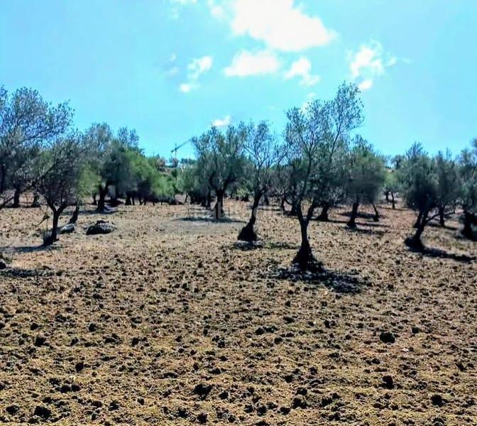 Foto 71823ada-78fe-4441-9b5a-e1be1fe80d2d. Terreny residencial a Coín