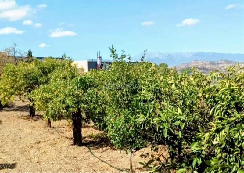 Foto b0c6fe5c-994c-4d82-bf96-394566a33fea. Terreny residencial a Coín