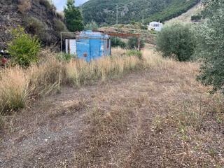 Finca rústica  N/a. Venta de parcela 15391 m2 . zona alcaucín . muy buen acceso . ol