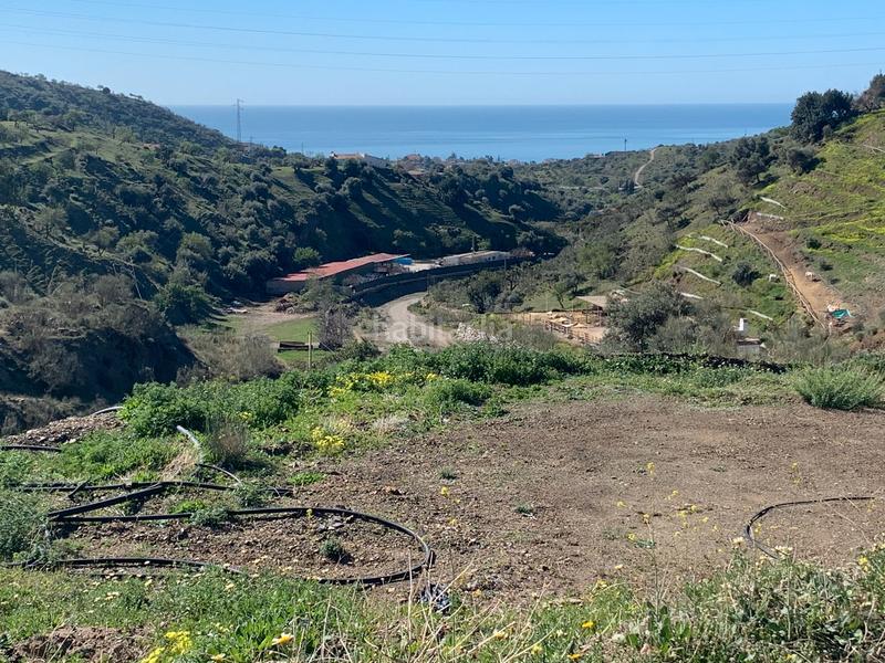 Foto 12568566-8096-40a0-a9bb-3757a8a24eba. Finca rústica a Diseminados Rincón de la Victoria