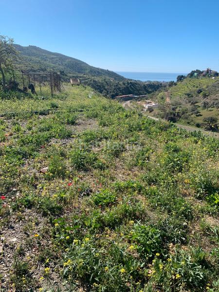 Foto 1b361303-a9ae-4bd7-ae64-9a3854b53918. Finca rústica a Diseminados Rincón de la Victoria