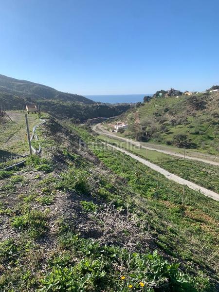 Foto 5a1024a7-8550-445e-9fe8-4e0a800677b2. Finca rústica a Diseminados Rincón de la Victoria