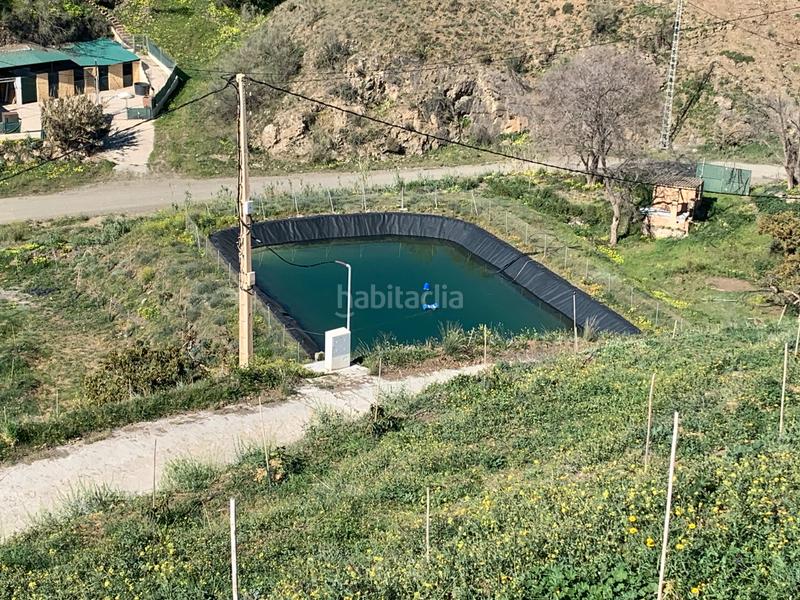 Foto a7960743-c014-469f-b490-e40e3aadf322. Finca rústica a Diseminados Rincón de la Victoria