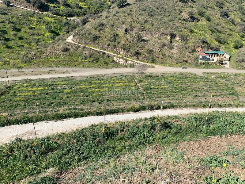 Foto ca9603c8-4f82-41d3-acd4-8b15461abf36. Finca rústica a Diseminados Rincón de la Victoria