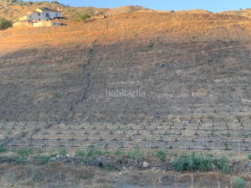 Foto cb52c60c-835d-490a-974b-15aebc369602. Finca rústica a Diseminados Rincón de la Victoria