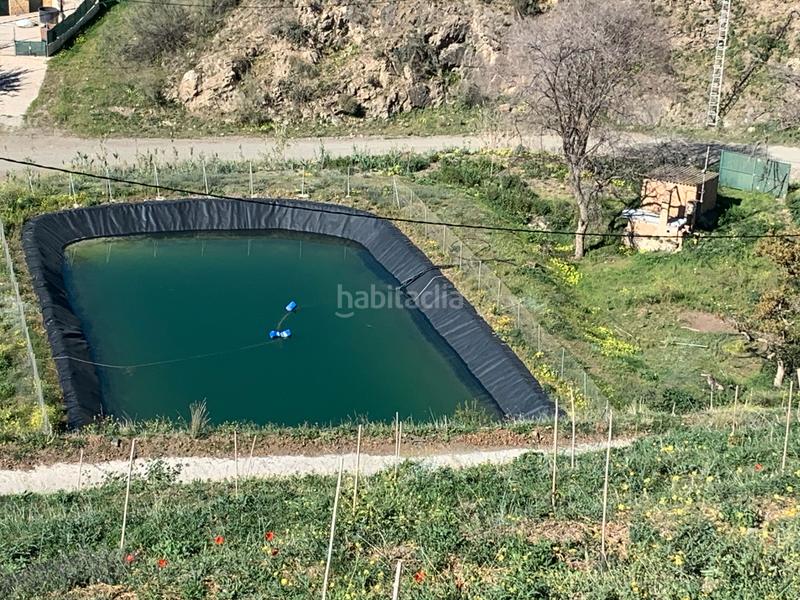 Foto e652303a-ec12-4015-ab45-862cd2bf5606. Finca rústica a Diseminados Rincón de la Victoria