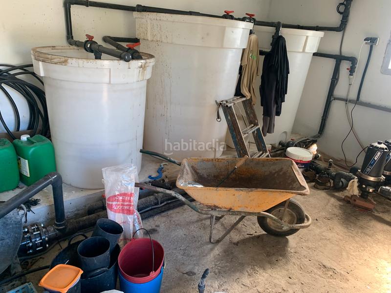 Foto feffe423-48f5-42c1-bf62-8b4374068d9f. Finca rústica a Diseminados Rincón de la Victoria