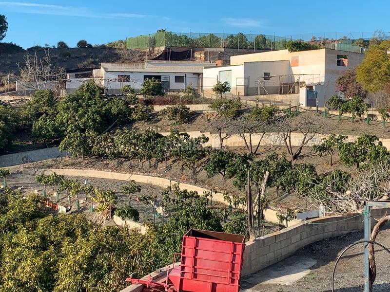 Foto a573614c-de95-4861-a4d5-f1a2d960dfa8. Bauernhof mit kamin parking pool in Norte - Barrio del Pilar - El Reñidero Vélez - Málaga