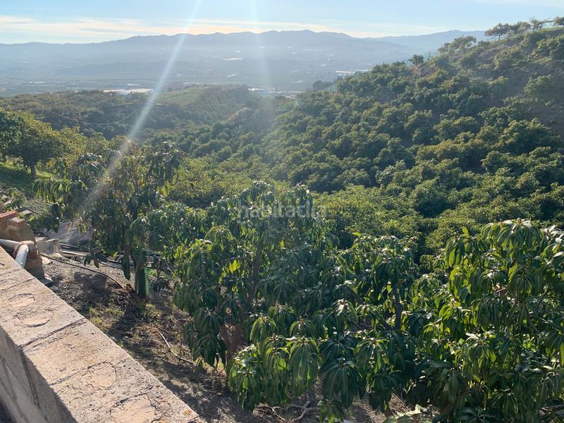 Foto b56f2fdd-46e9-4833-ae66-22f84dbcd95f. Bauernhof mit kamin parking pool in Norte - Barrio del Pilar - El Reñidero Vélez - Málaga