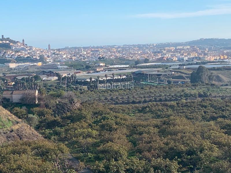 Foto c2bda569-033a-418a-b5d3-130300e8581a. Bauernhof mit kamin parking pool in Norte - Barrio del Pilar - El Reñidero Vélez - Málaga