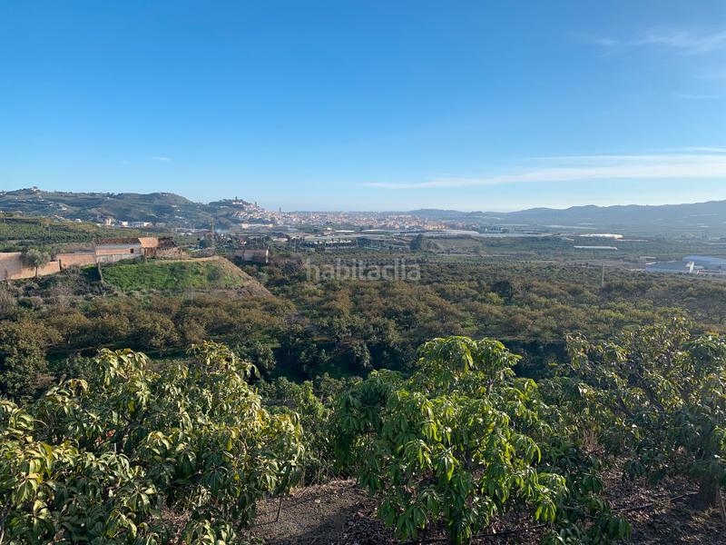 Foto fe8907e6-d5ce-44d5-ae3f-323c40dec906. Bauernhof mit kamin parking pool in Norte - Barrio del Pilar - El Reñidero Vélez - Málaga