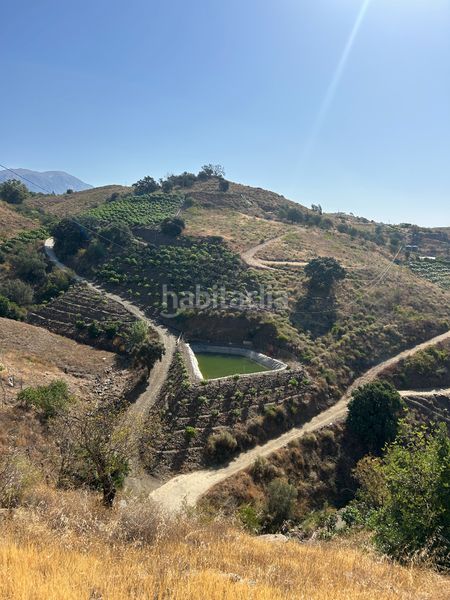 Foto 05d9b645-3b9d-4db4-a8b6-69f008c872ba. Finca rústica a calle arroyo moneda 2b a Norte - Barrio del Pilar - El Reñidero Vélez - Málaga
