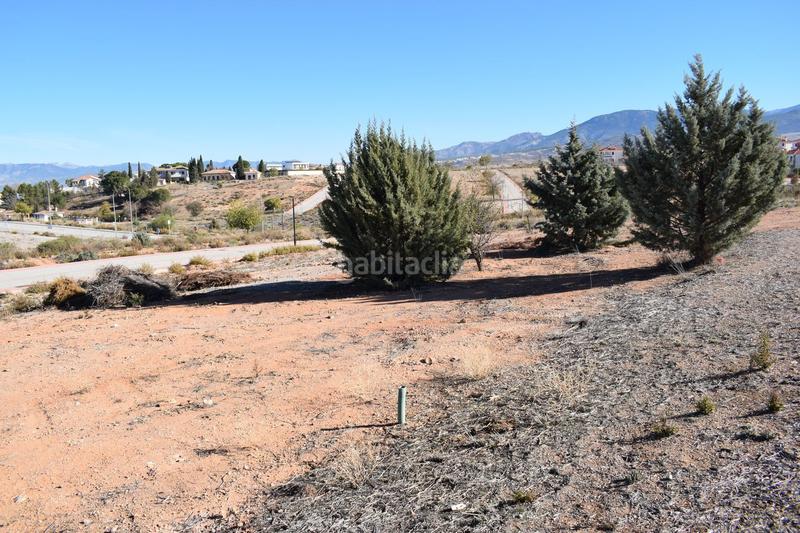 Foto 3cacd314-6e5b-4bf8-88e1-a31d9c81f7d9. Terreny residencial a calle limonero 0 a Villa de Otura