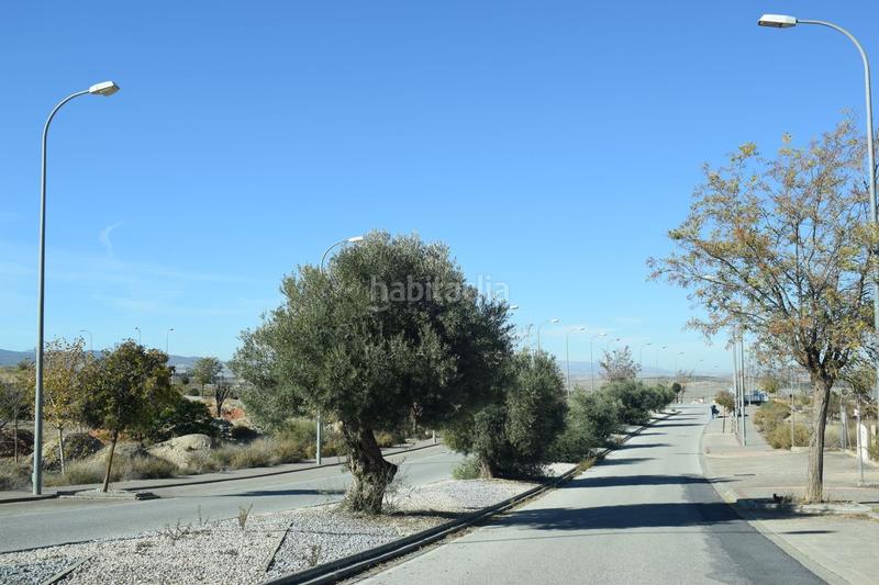 Foto 4049b72d-68fb-47ec-b47a-a7c357aad5e2. Terreny residencial a calle limonero 0 a Villa de Otura