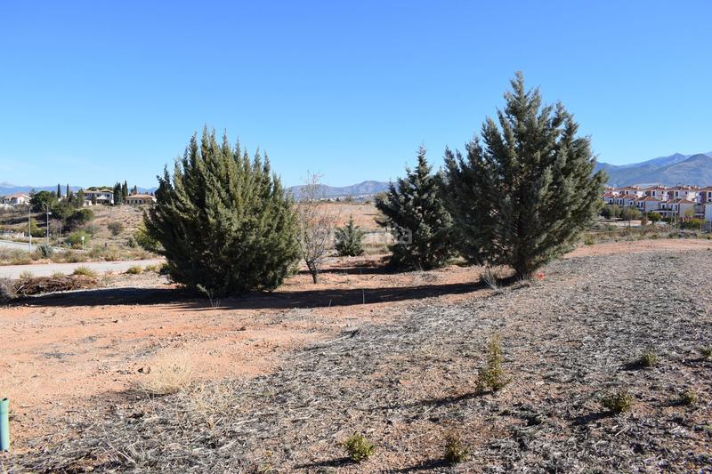 Foto 41e4153e-686d-4a45-9074-b99f5b41bf67. Wohngrundstück in calle limonero 0 in Villa de Otura