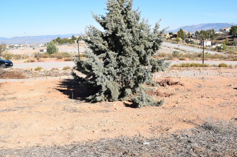 Foto e330a346-9909-4c7d-bd6c-88f206e58360. Wohngrundstück in calle limonero 0 in Villa de Otura