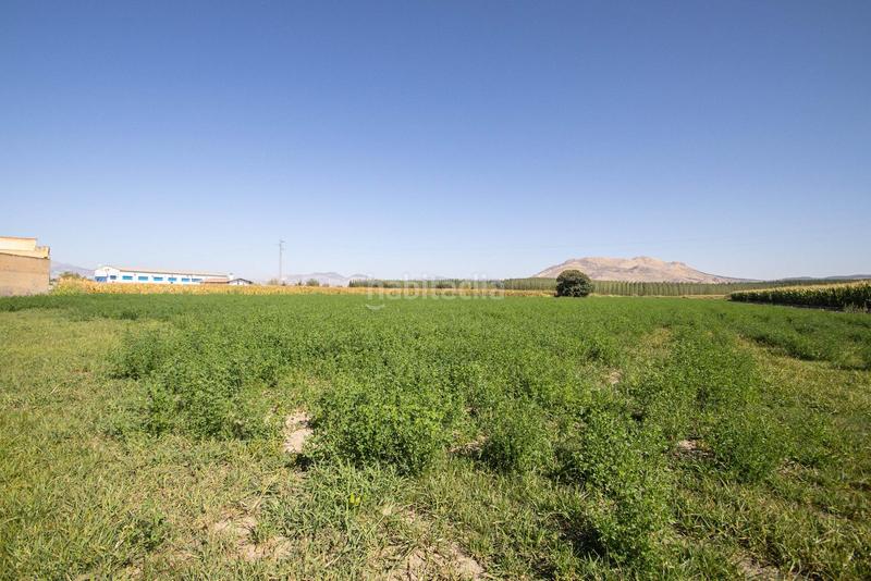 Foto 3d9be90d-7521-4a62-8e91-be0632fc9221. Casa a schiera con parcheggio in Santa Fe