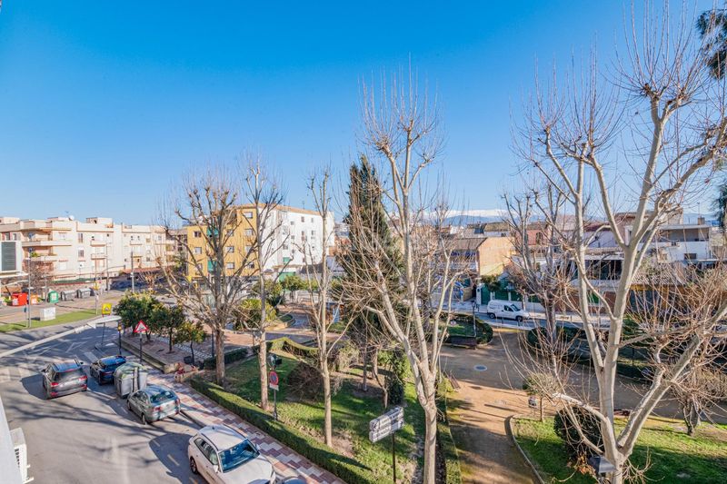 Foto a9775016-41c3-41f2-90f6-82afae9ba229. Pis a Maracena