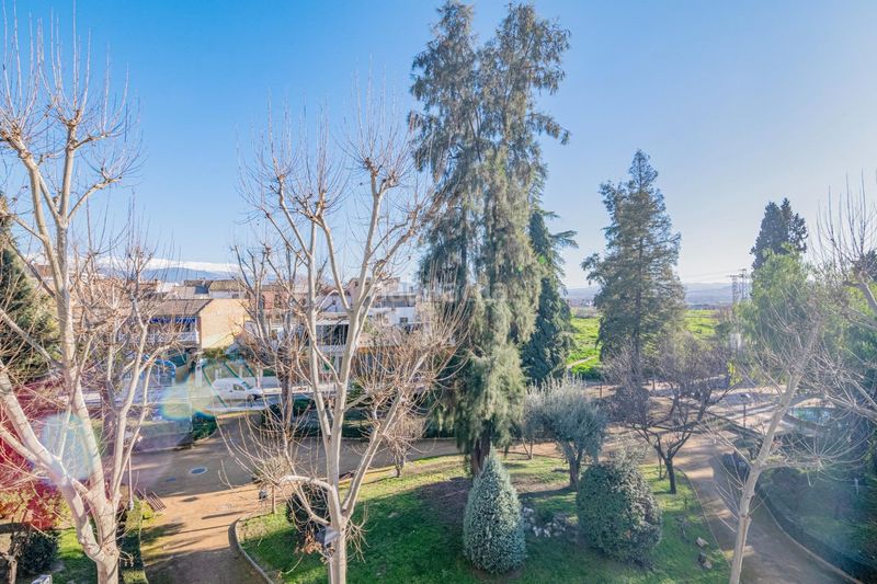 Foto bd354b65-7bd6-4ecf-96e2-9885caaaf2bf. Pis a Maracena