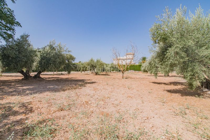 Foto 19d675e7-a941-448b-ac34-5dbff3569540. Xalet amb calefacció aparcament piscina a Atarfe