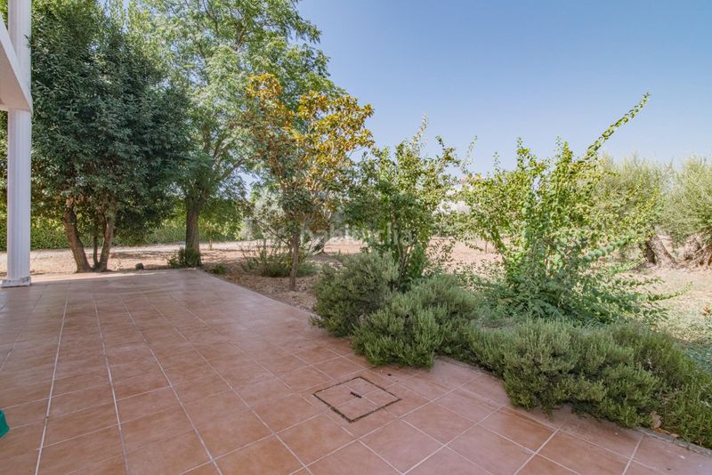 Foto 671f16c6-2e7b-4468-b427-67ffd7ef6271. Xalet amb calefacció aparcament piscina a Atarfe