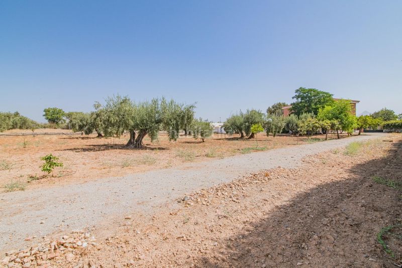 Foto 983df310-9b3a-4ee9-8fbe-854ca61a60be. Xalet amb calefacció aparcament piscina a Atarfe