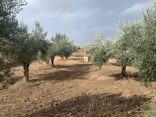 Residential Plot in Las Flores - Huerta