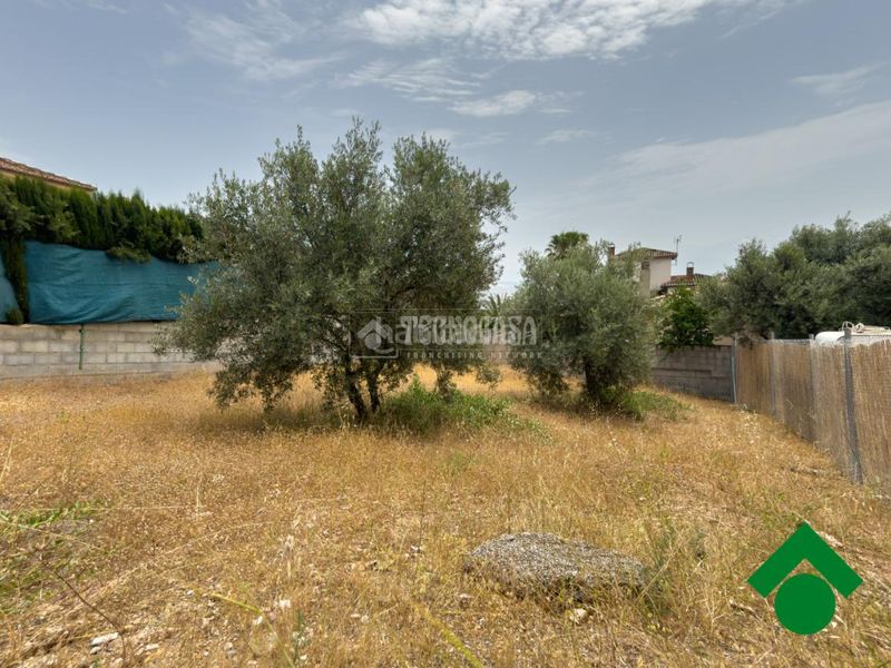 Foto dbd1d701-7be2-4355-b3ba-589efeb20ec1. Terreny residencial a Atarfe