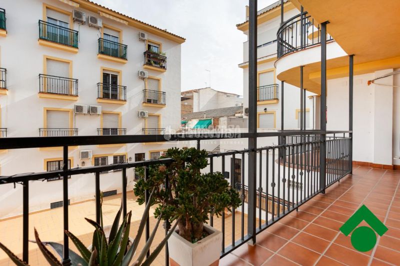 Foto 599a6eda-c148-43d6-8985-96b60a2c1f09. Pis a Atarfe