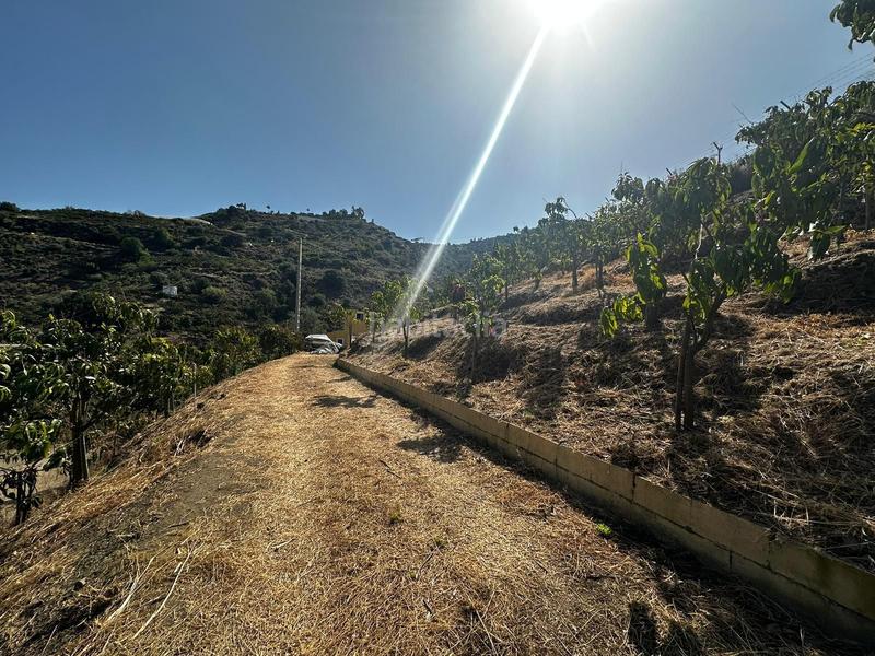 Foto dce1fd76-23e7-4f8d-96c7-3bd0fc6bc356. Finca rústica casa de campo en Algarrobo pueblo Algarrobo