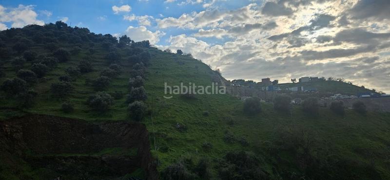 Foto 94b74f68-f8f9-4bda-87a9-b4fc787f4f6e. Finca rústica se vende parcela rústica en Algarrobo pueblo Algarrobo